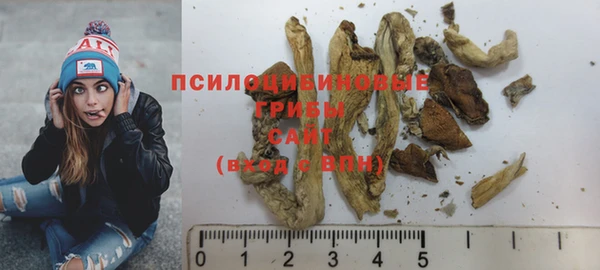 дживик Белокуриха