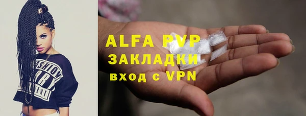 дживик Белокуриха