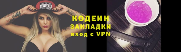 дживик Белокуриха