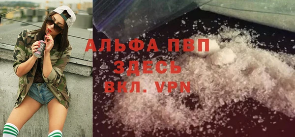 дживик Белокуриха