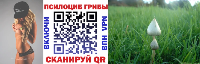 Галлюциногенные грибы Psilocybe  Купить где  Вельск 